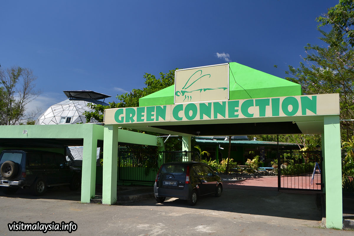 Aquarium green connection Green Connection